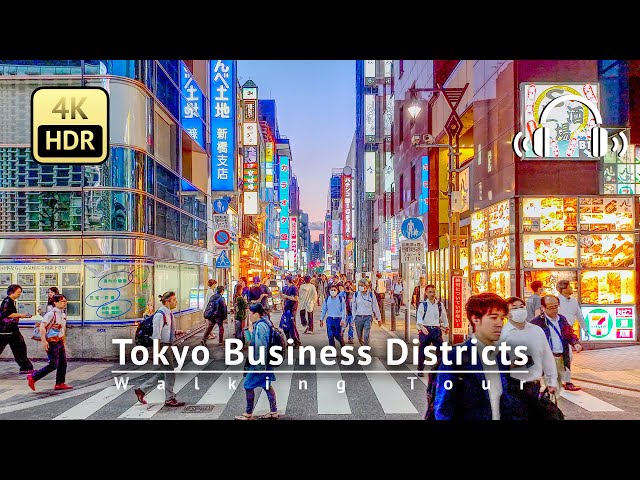 Japan - Tokyo Business Districts: Shimbashi to Kioicho Evening Walking Tour [4K/HDR/Binaural]