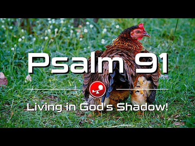 PSALM 91 - Living in God's Shadow - Daily Devotional - Little Big Things