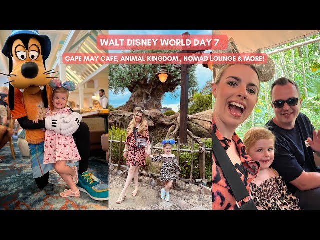 WALT DISNEY WORLD DAY 7- CAPE MAY CAFE CHARACTER BREAKFAST, ANIMAL KINGDOM & NOMAD LOUNGE DINNER!