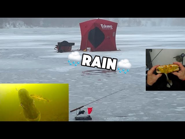 Ontario First Ice Northern Pike (In the Rain)🌧️ #icefishing #northernontario #sonnenburgoutdoors