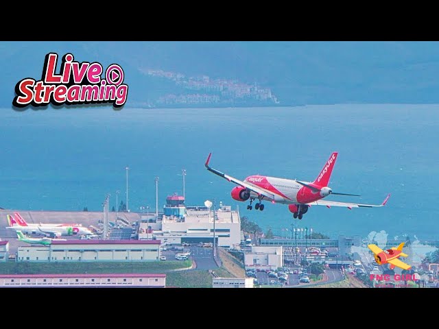 Madeira Airport Live 11/02/2025