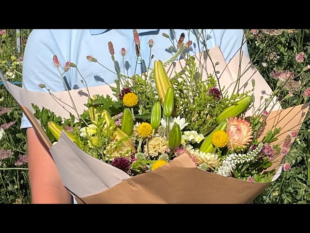 Propagating my favourite cut flower perennials!  Australian cut flower farm