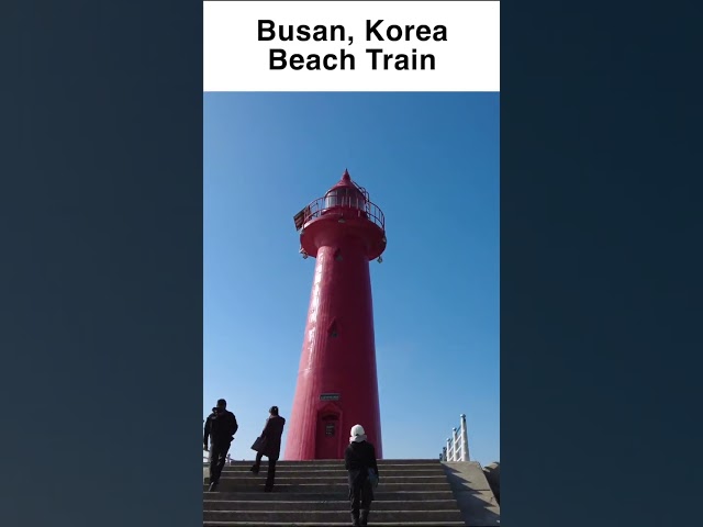 Korea travel Busan train travel | Beautiful Korean beach street Walking tour #koreatravel #koreavlog