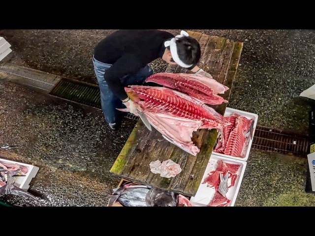 220kg Giant Tuna Disassembled! A Sushi Chef’s Insane New Year with Only 3 Hours of Sleep.