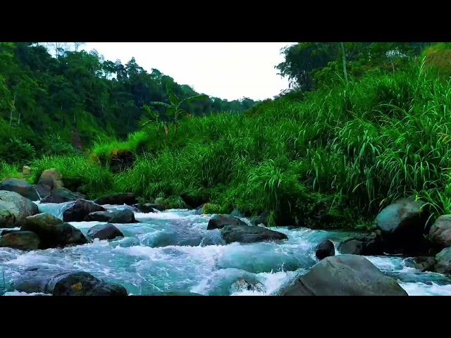 Relaxing River Sound stress relief therapy and mental disorders help sleep and relax