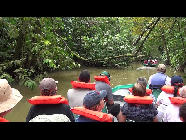 COSTA RICA Tortuguero National Park