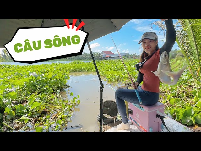 Tập 55 | Câu Cá Bờ Sông Thiên Nhiên Mùa Tra Về | VY HAN FISHING