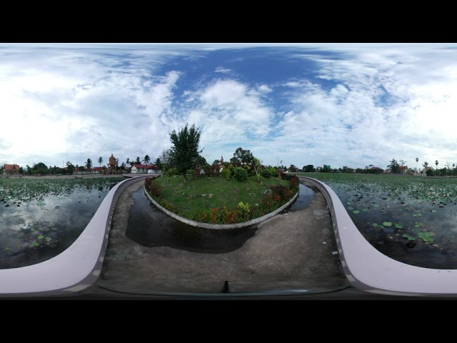 Cambodia - Kampot - Lotus Pond [ 4K UHD ] VR 360 - Samsung Gear