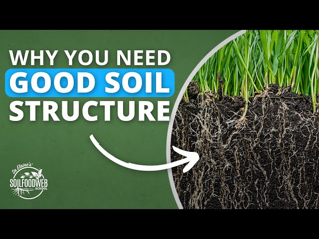 Building Structure In Soil | Soil Food Web School