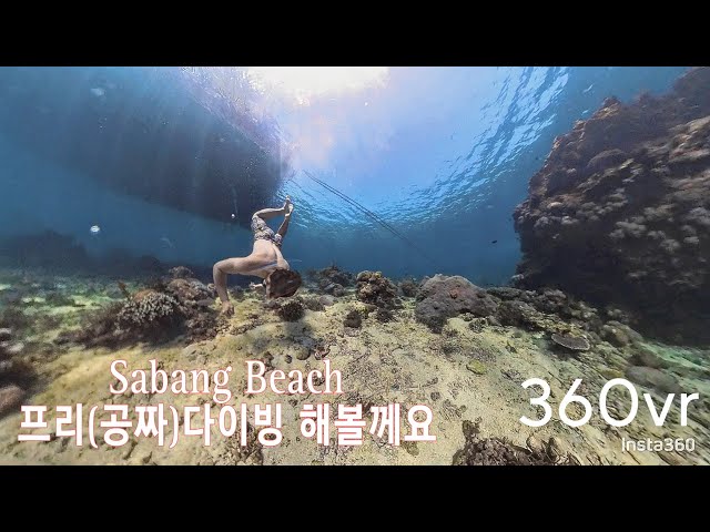 사방비치 프리다이빙 무료? 360VR | Sabang Beach vs White Beach | Puerto Galera | Philippines insta360x4 vs x3