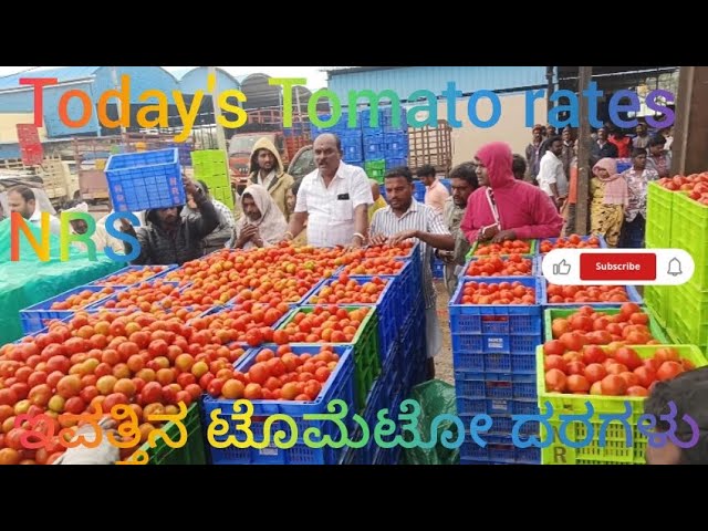 February 8, 2025 today's Tomato rates at NRS Mandi, Vaddahalli Market, Mulbagal