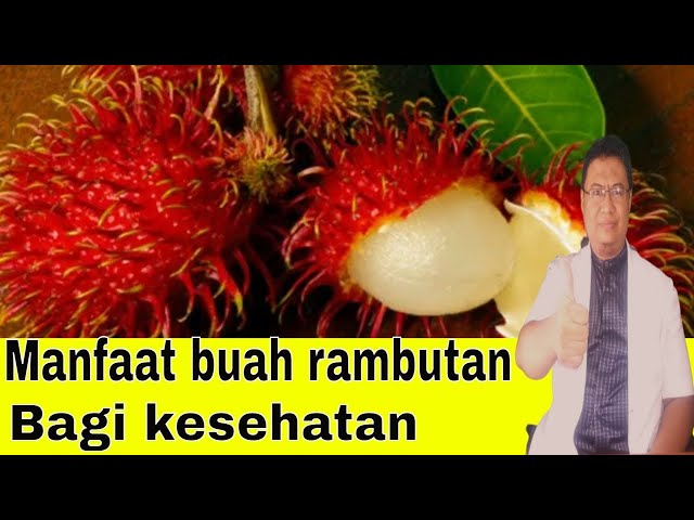 Manfaat buah rambutan bagi kesehatan tubuh kita