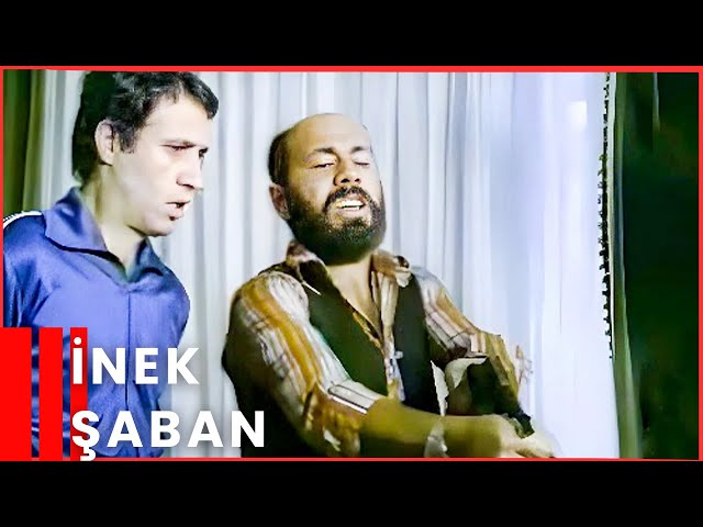 İnek Şaban | Kemal Sunal Komedi Filmi İzle