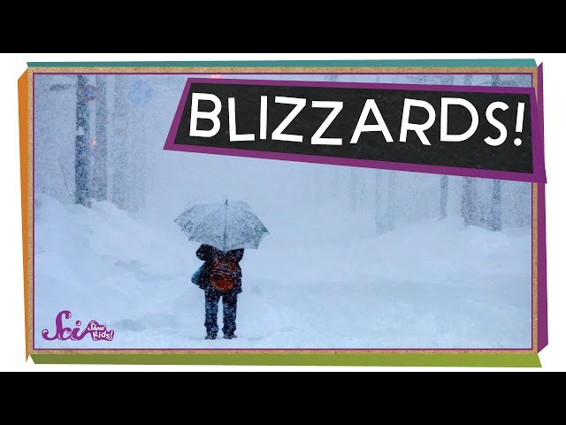 What is a Blizzard? | Winter Science | Weather Science | SciShow Kids