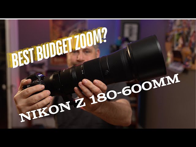 Nikon 180-600mm Review: Best Budget Wildlife and Sports Lens?