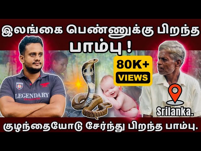 இலங்கை பெண்ணுக்கு பிறந்த பாம்பு 😱| Kilinochchi | Srilanka🇱🇰 | Baby born with snake 🐍 @TheTamilAI