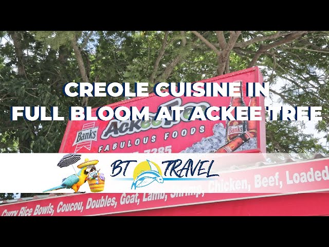 Creole Cuisine in Full Bloom at Ackee Tree