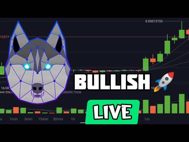 CANADIAN INU TOKEN LIVE ANALYSIS BULLISH