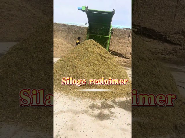 When it's time to store silage every year, how can we lack a silage recycling machine? #cattlefarm