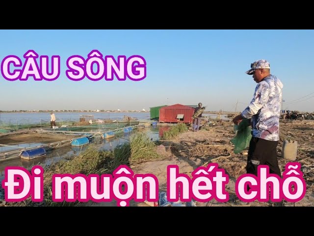 ĐIỂM CÂU SÔNG THÁI BÌNH ĐI MUỘN LÀ HẾT CHỖ#câucásông#fishing