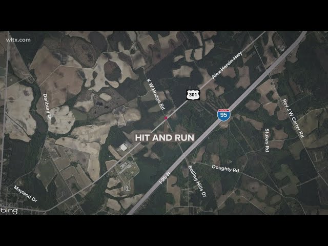 SC Highway Patrol needs help in hit and run