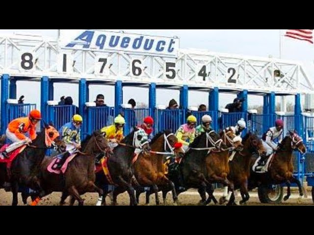 Live Racing From Aqueduct With Selections