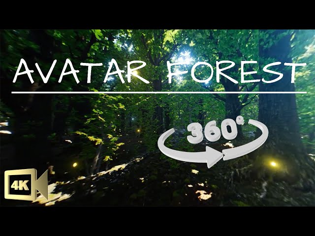 360° VR Avatar Forest Walk | 4K Virtual Relaxation with Soothing Forest Sounds & Fireflies Song