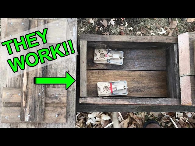 How To Easily Make An Eliot Coleman Mouse Trap Box Out Of Waste Wood - Part 2