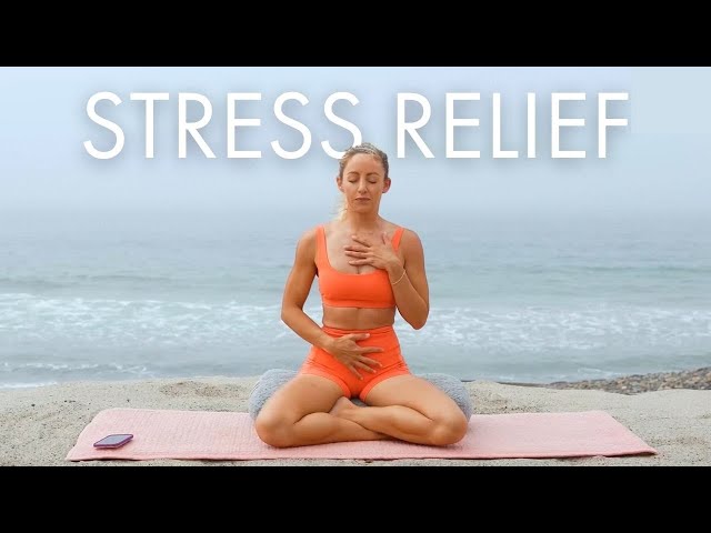 20 Min Relaxing Full Body Stretch/Yoga For Stress Relief