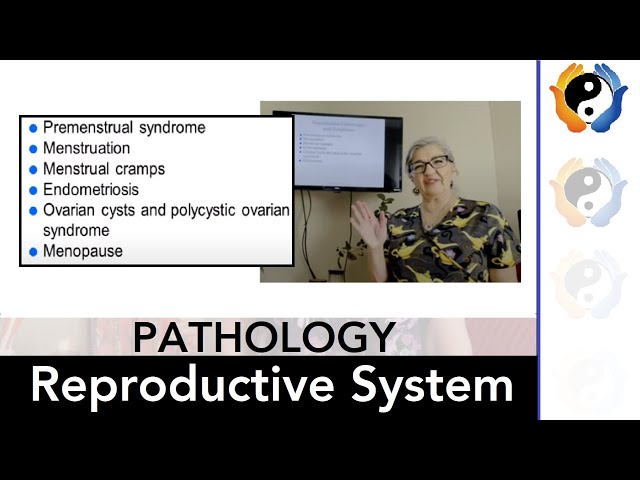 Reproductive System Pathologies