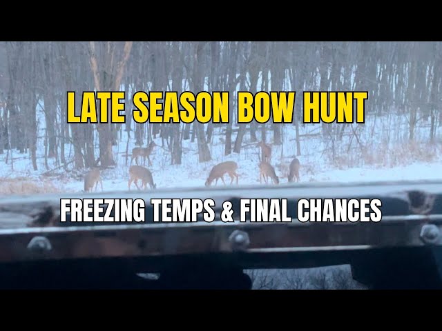 Late Season Bowhunting: Chasing Wisconsin Whitetail Does in the Cold (Jan 2025)