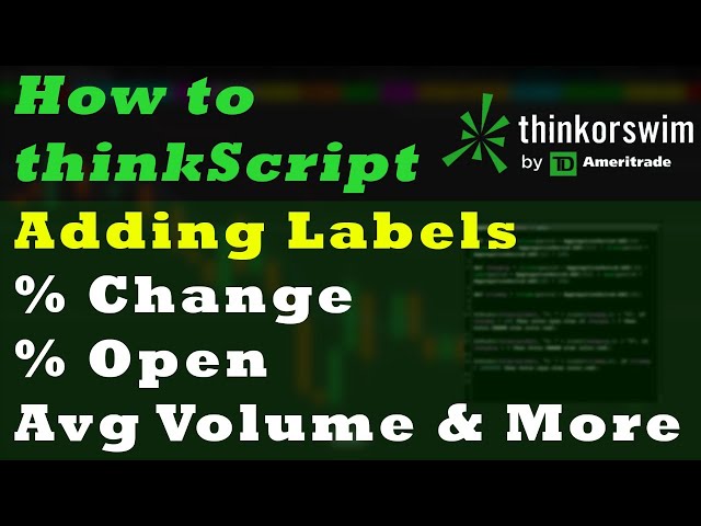 How to thinkScript | Add Labels | % Change, % Open, Average Volume | thinkorswim Tutorial