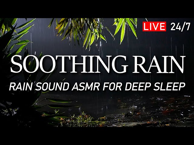 🔴 Rain Sound for Sleeping - Soothing Rain ASMR to Help You Sleep Deeply. Insomnia Relief, Relaxation