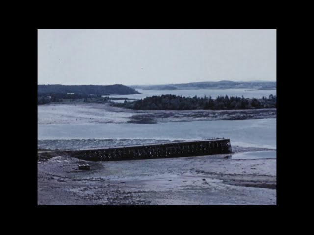 Tidal Power: A New Source of Energy (ca. 1959)