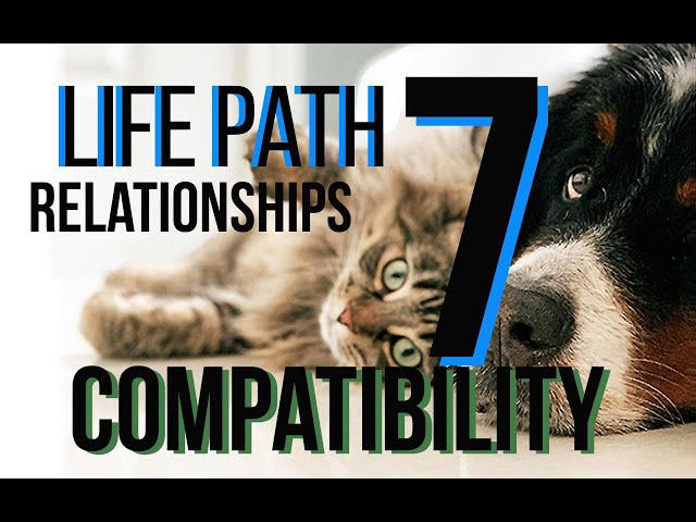 Life Path 7: Secrets of Compatibility Revealed