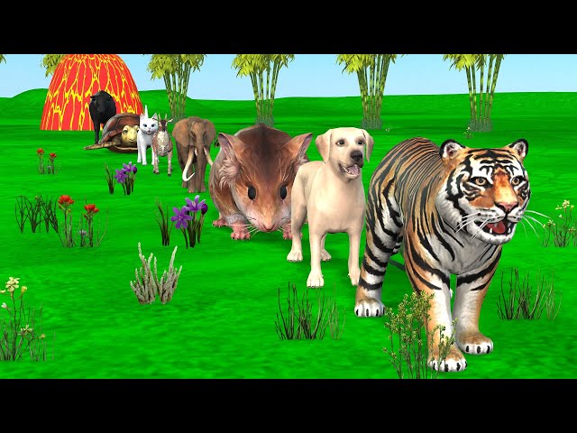 Paint & Animals Rabit, Cat, Chicken, Dog, Pig Fountain Crossing Transformation Animal Cartoon - P