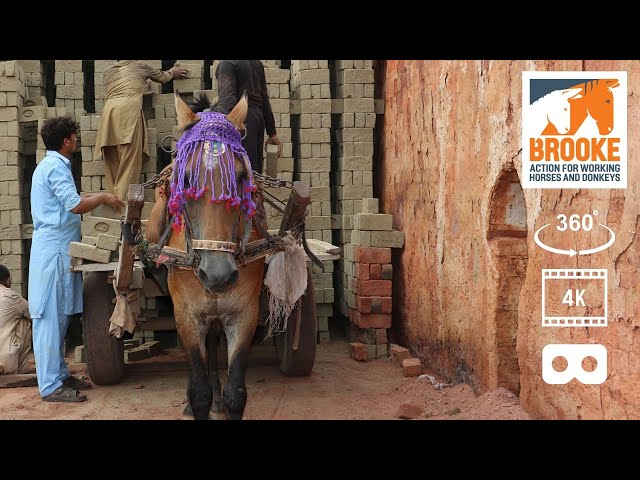 360° VR in 4K – Tour of a brick kiln in Pakistan with people and horses.