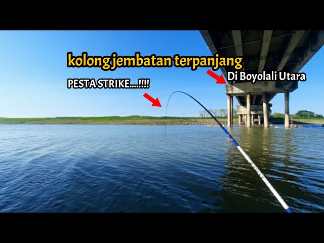 Rejeki Nomplok Mancing Di Spot Jutaan Ikan Wader....!!!!