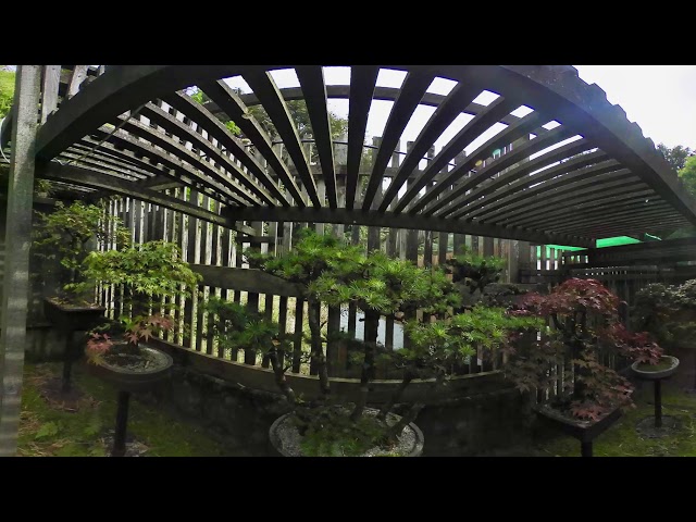 Japanese Garden in 360 Videos