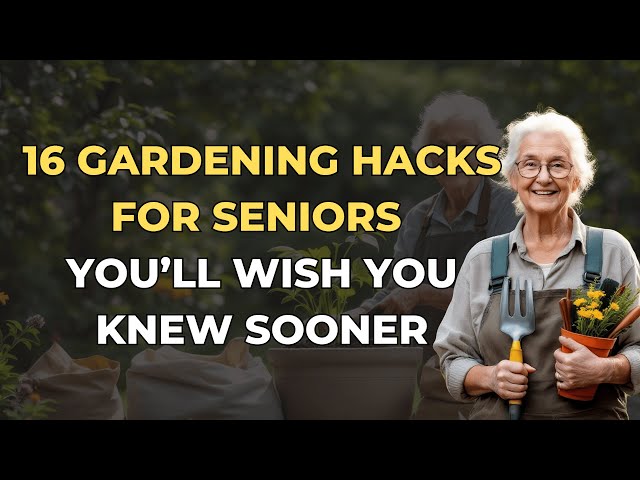 16 Gardening Hacks for Seniors You’ll Wish You Knew Sooner