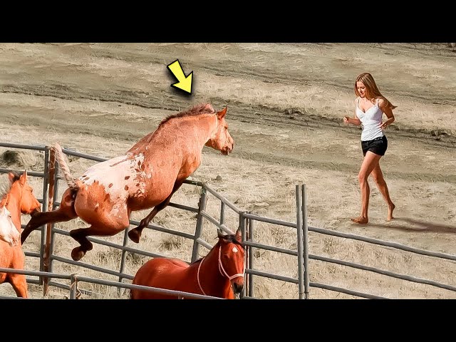 Horse Goes Crazy When It Sees This Girl – The Reason Shocked Its Owner