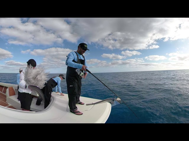 Hammerhead Shark on the Line in 360 VR While Kite Fishing In The Keys