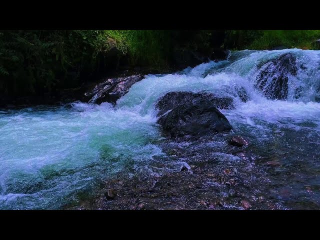 CALM RIVER WAVES 🌊 | PEACEFUL WATER AMBIENCE FOR STRESS RELIEF