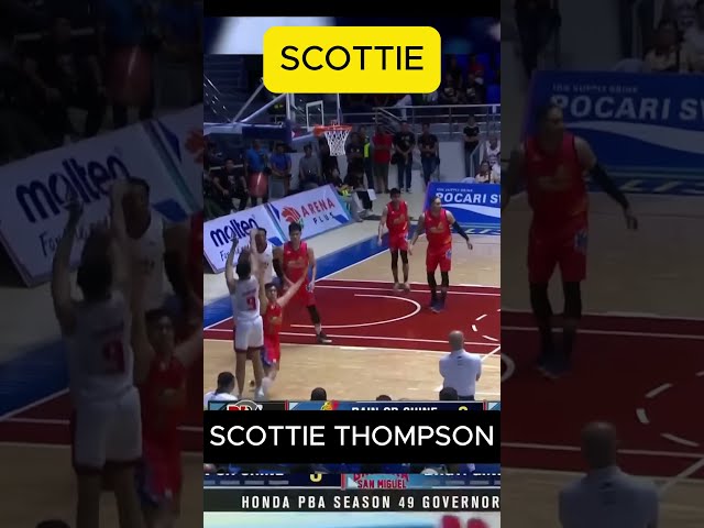 short - scottie for three