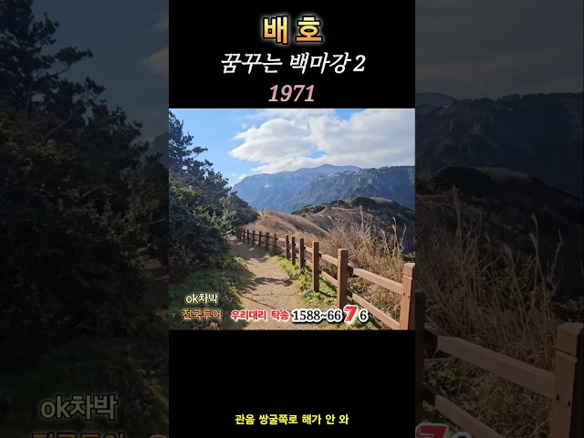 배호 꿈꾸는 백마강2 (1971) 울릉도 해 관음도끝 #ok차박전국투어 뷰가 멋진  쌍굴 전망대에서 하산길 관음도 연도교까지 쉼터 지나 관음도에서 보는 울릉도 정겨운 탐방로