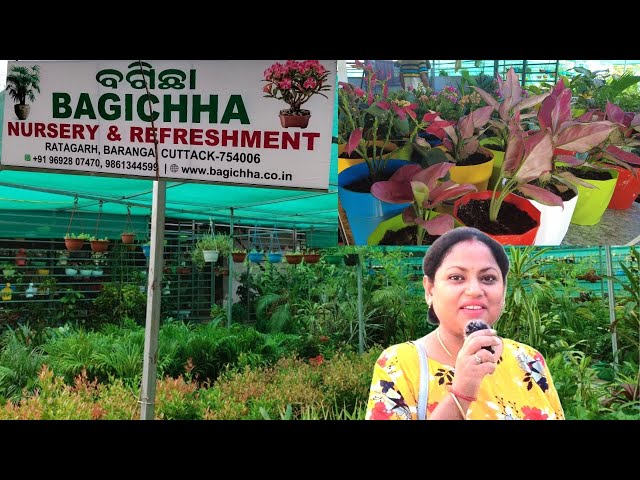 Exploring the Green Oasis: A Tour of Bhubaneswar's Finest Nursery Farm 🌱