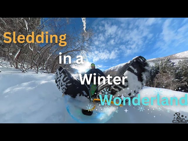 The Best Way To Hike - Sledding