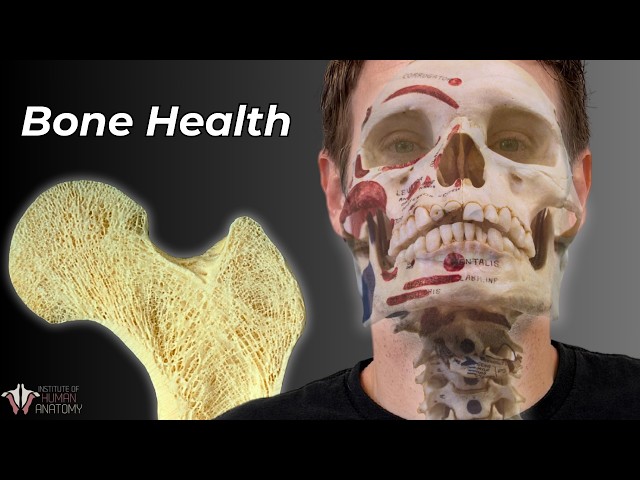 How Diet & Exercise Changes Your Bones