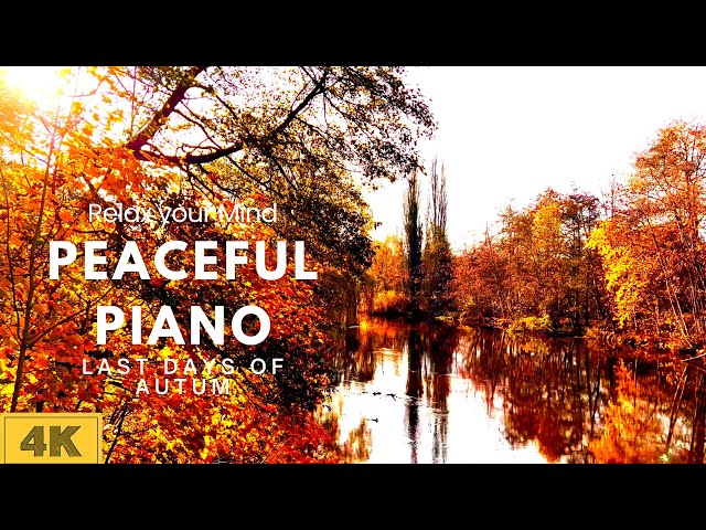 Relax your Mind | 4K Peaceful Piano Music | 40 Minutes Meditation, Nature & Sleep