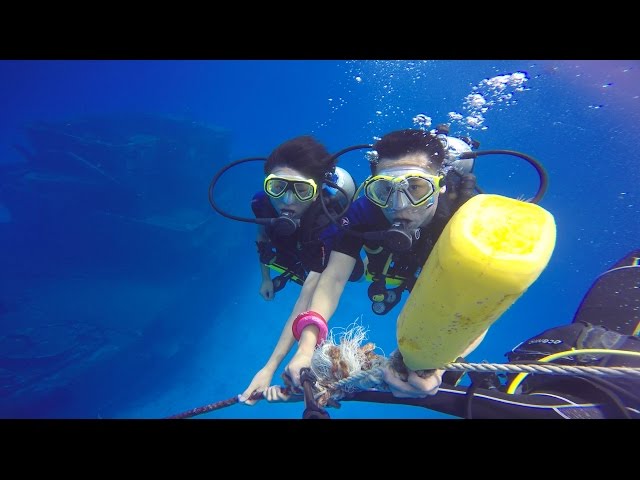 PADI Drift And Wreck Dives: Cozumel Mexico 🇲🇽